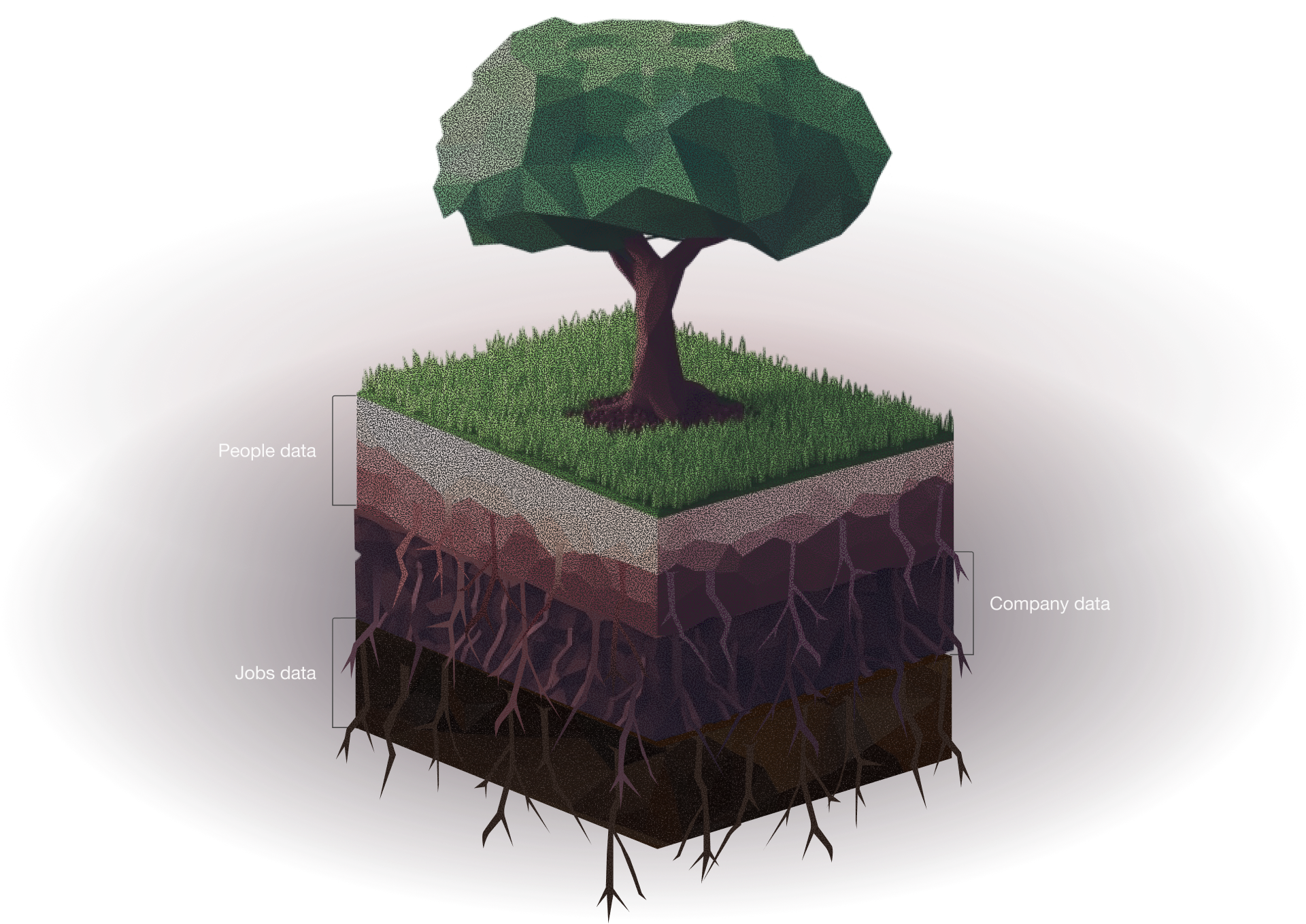 Data visualization tree
